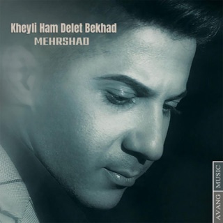 کاور آهنگ Kheyli Ham Delet Bekhad از Mehrshad