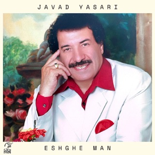 کاور آهنگ Amin از Javad Yasari