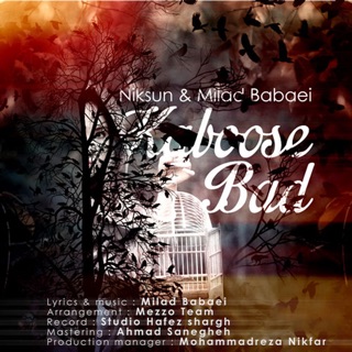 کاور آهنگ Kare Ma Do Ta Tamoome از Milad Babaei & Niksun