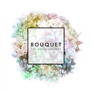 کاور آهنگ Roses (feat. ROZES) از The Chainsmokers