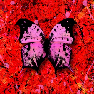 کاور آهنگ Bad Habits از Ed Sheeran
