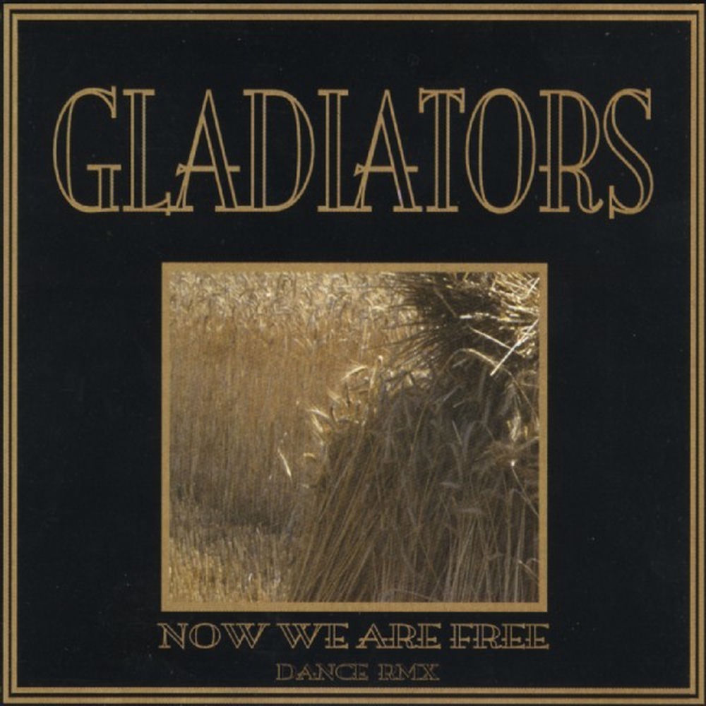 کاور آهنگ 3 - Now We Are Free از Gladiator OST
