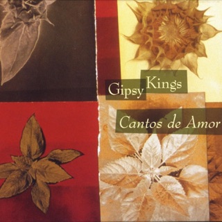 کاور آهنگ Passion (Instrumental) از Gipsy Kings