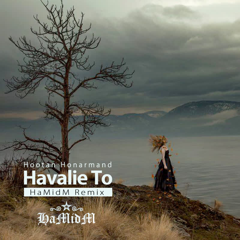 کاور آهنگ Havalie To HaMidM Remix از Hootan Honarmand