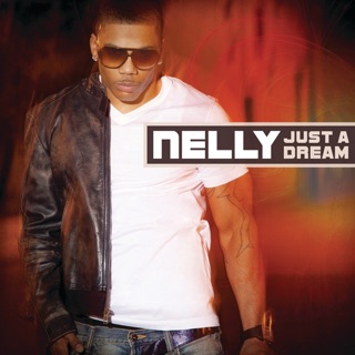 کاور آهنگ Ba Beharin Taraneh از Nelly