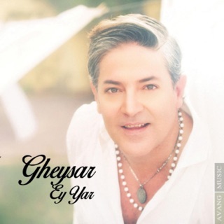 کاور آهنگ Ghalbeto Bordam از Gheysar