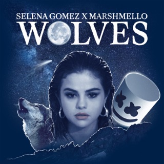کاور آهنگ Wolves از Selena Gomez & Marshmello