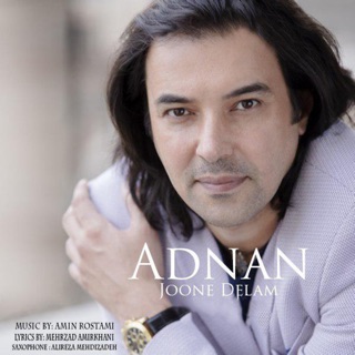 کاور آهنگ Joone Delam از Adnan