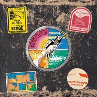 کاور آهنگ Shine On You Crazy Diamond (Pts. 1-5) از Pink Floyd