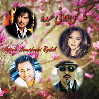 کاور آهنگ Ehsase Shirin از Shahyad