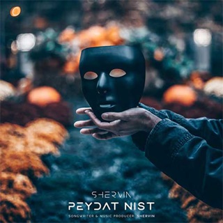 کاور آهنگ Peydat Nist از Shervin Hajipour