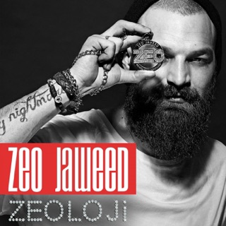 کاور آهنگ Nedenini Sorma از Zeo Jaweed