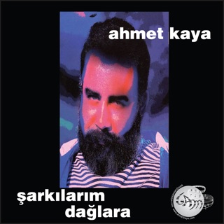 کاور آهنگ Yeter از Ahmet Kaya