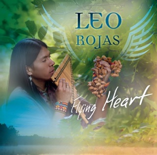 کاور آهنگ My Immortal از Leo Rojas