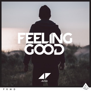 کاور آهنگ Feeling Good از Avicii