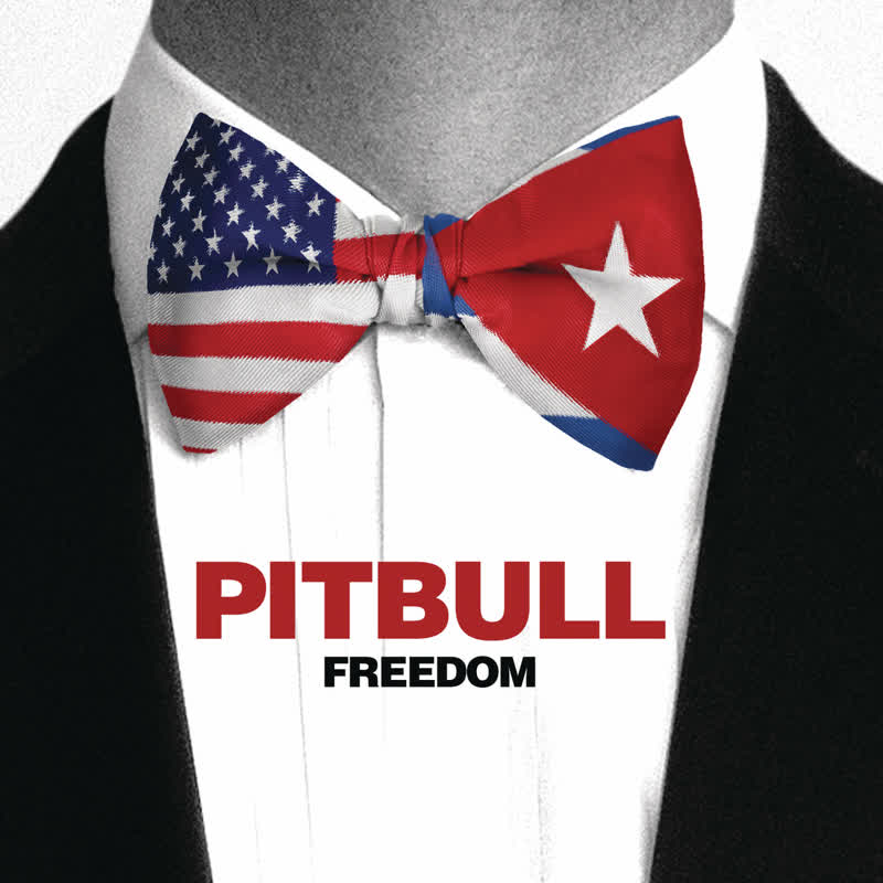 کاور آهنگ Freedom RapShare از Pitbull