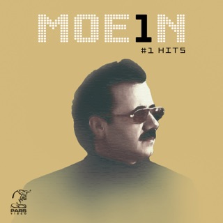 کاور آهنگ Banoo از Moein