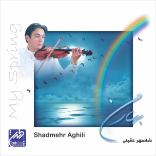 کاور آهنگ Jane Maryam 2 Instrumental از Shadmehr Aghili