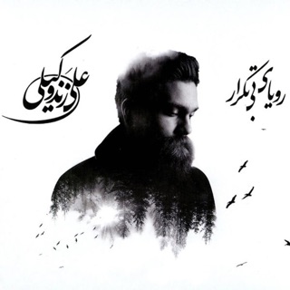 کاور آهنگ Nemiayi از Ali Zand Vakili