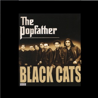 کاور آهنگ Ahange Man از Black Cats