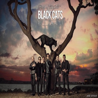 کاور آهنگ Booseh از Blackcats Edvin