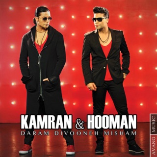 کاور آهنگ Daram Divooneh Misham از Kamran & Hooman