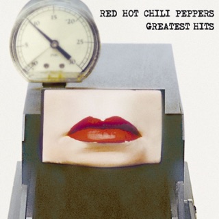 کاور آهنگ Suck My Kiss از Red Hot Chili Peppers
