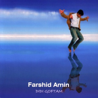 کاور آهنگ Dub Mix از Farshid Amin