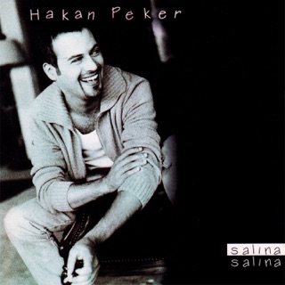 کاور آهنگ Salina salina remix از Hakan Peker
