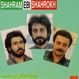 کاور آهنگ Dooset Daaram از Shahrokh