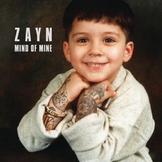 کاور آهنگ BeFoUr از ZAYN