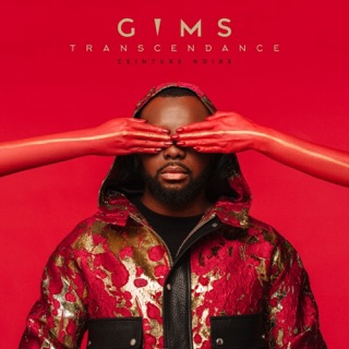 کاور آهنگ Hola Señorita (feat. Maluma) از GIMS