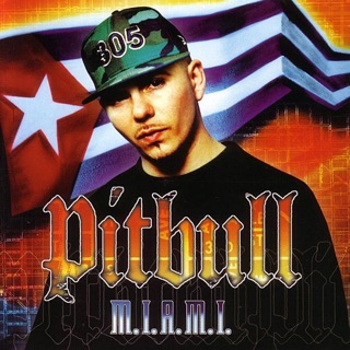 کاور آهنگ I Wonder از Lil Jon & Pitbull