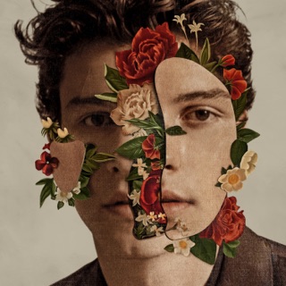 کاور آهنگ In My Blood از Shawn Mendes