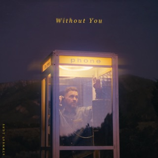 کاور آهنگ Without You از Andy Grammer