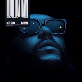 کاور آهنگ Moth To A Flame (Moojo Remix) از Swedish House Mafia, The Weeknd & Moojo