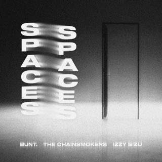 کاور آهنگ Spaces از BUNT., The Chainsmokers & Izzy Bizu