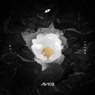 کاور آهنگ Lonely Together (feat. Rita Ora) از Avicii