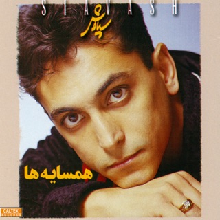 کاور آهنگ Dokhtar Irouni از Siavash