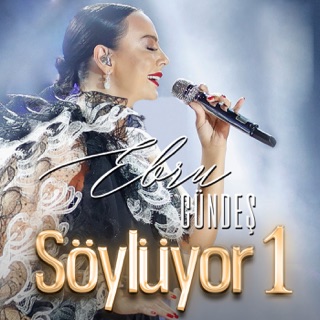 کاور آهنگ Sana Benziyor از Ebru Gündeş
