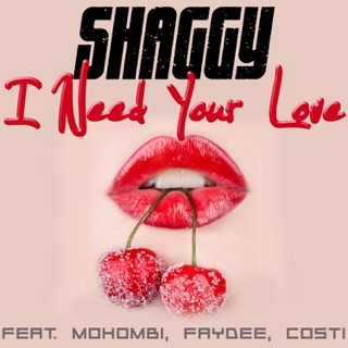 کاور آهنگ I Need Your Love (feat. Mohombi, Faydee & Costi) از Shaggy