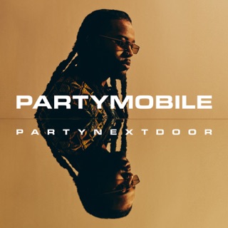 کاور آهنگ BELIEVE IT از PARTYNEXTDOOR & Rihanna