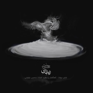 کاور آهنگ Baroon از Mohsen Chavoshi