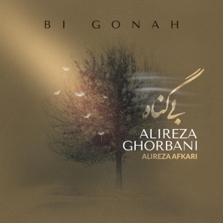 کاور آهنگ Bi Gonah از Alireza Ghorbani & Alireza Afkari