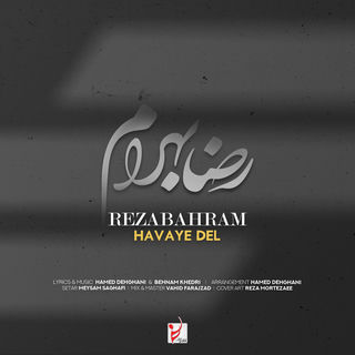 کاور آهنگ Havaye Del (Remix) از Reza Bahram