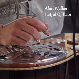 کاور آهنگ Hatful of Rain از Alan Walker