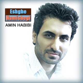 کاور آهنگ Bigharar از Amin Habibi