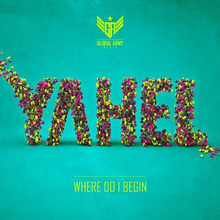 کاور آهنگ Spirulina (Original Mix) از Yahel