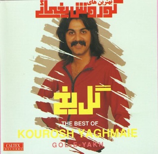 کاور آهنگ Leila از Kourosh Yaghmaei
