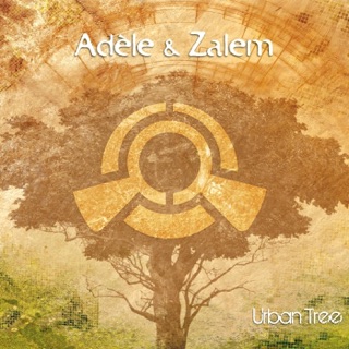کاور آهنگ Urban Tree از Adèle & Zalem